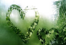 在哪里能看日本乙级联赛直播？日乙直播有哪些特色和注意点？