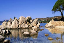 掘金vs雷霆直播哪里看？比赛看点、直播平台及前瞻全解析